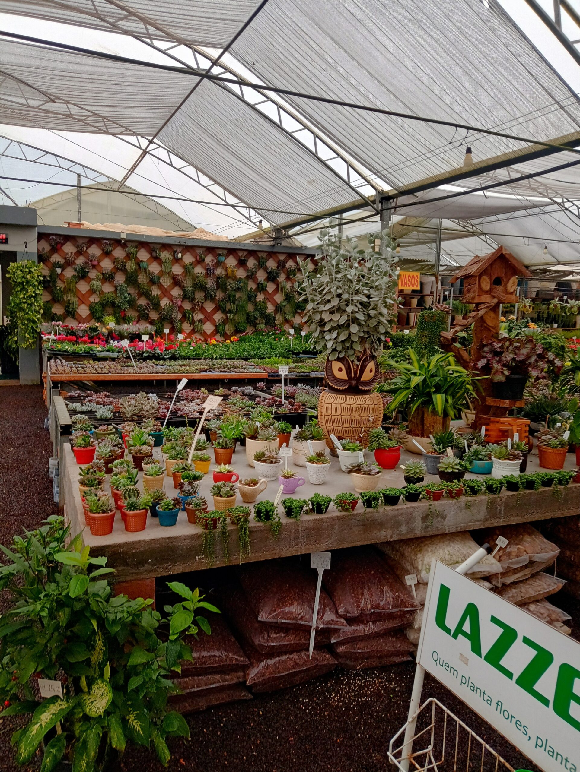 IMG_20240819_073109133_HDR~2