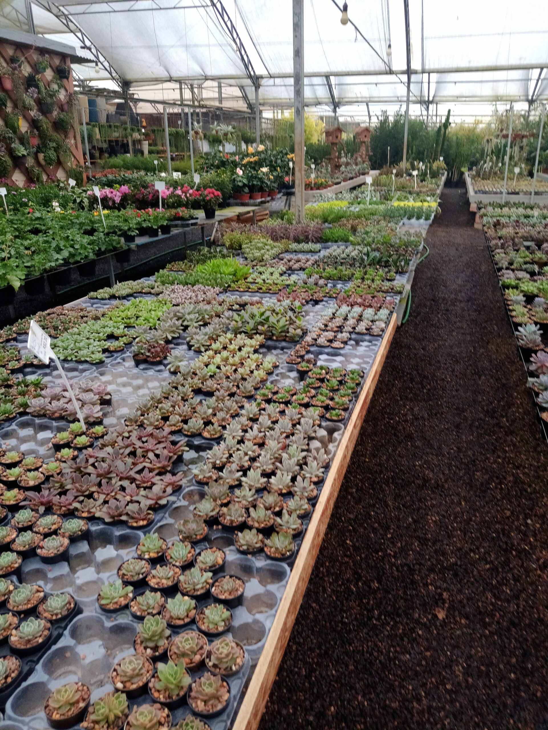 IMG_20240819_073125612_HDR~2