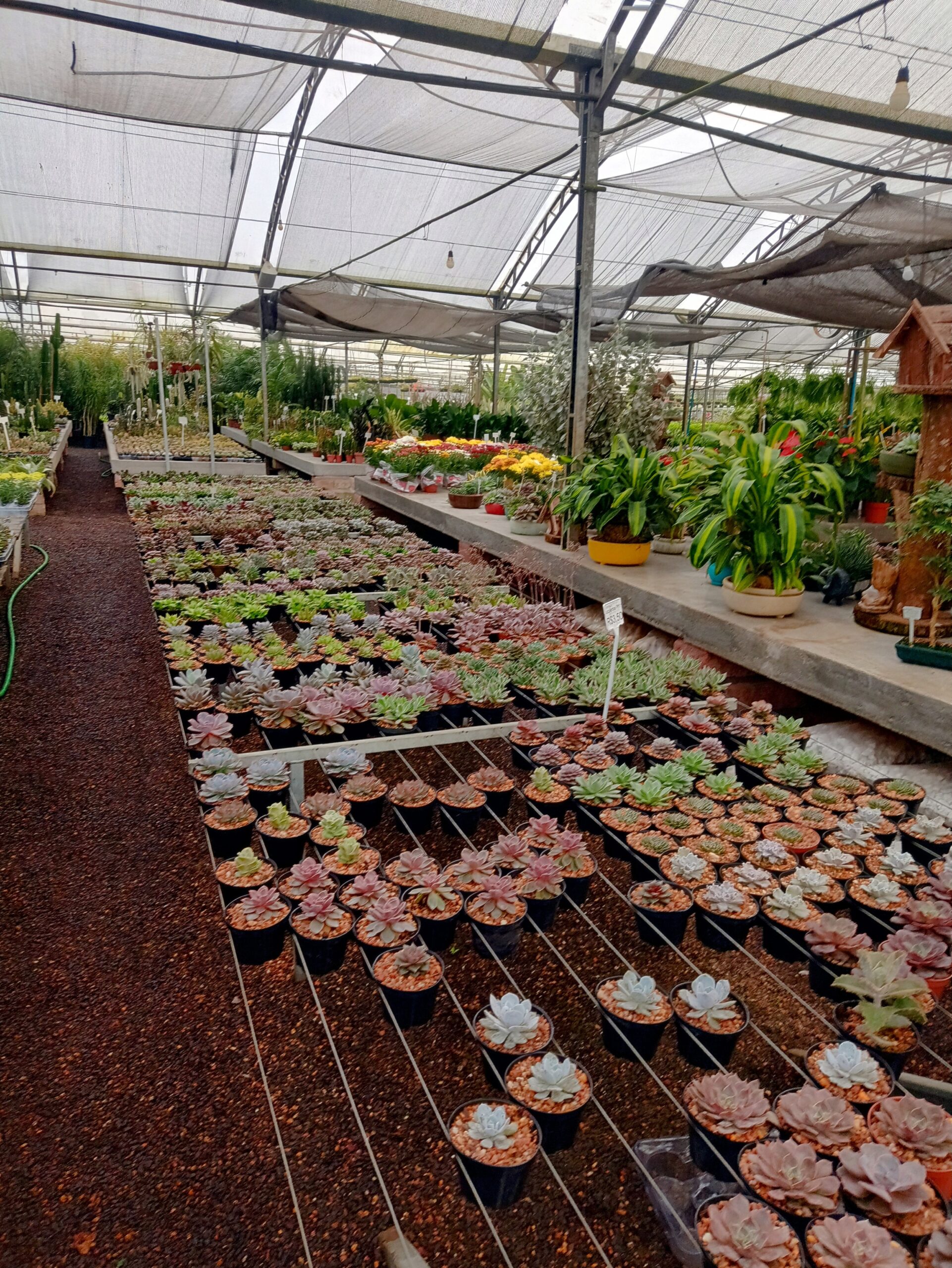 IMG_20240819_073129110_HDR~2