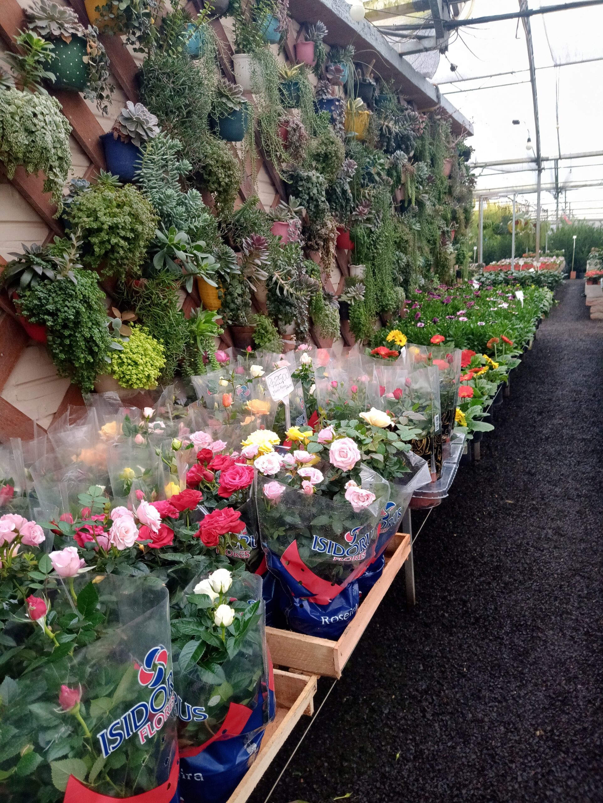 IMG_20240819_073140017_HDR~2