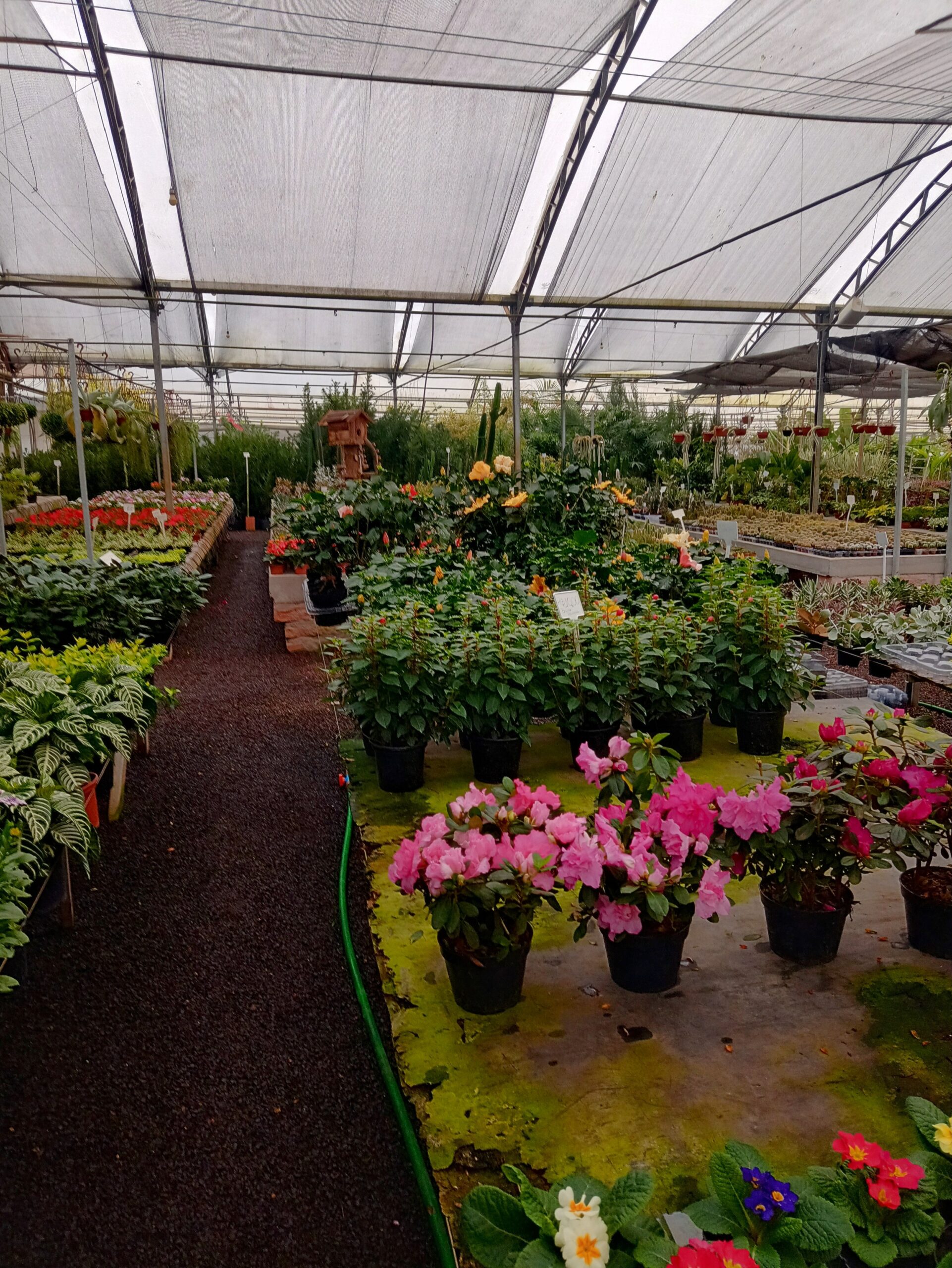 IMG_20240819_073157656_HDR~2