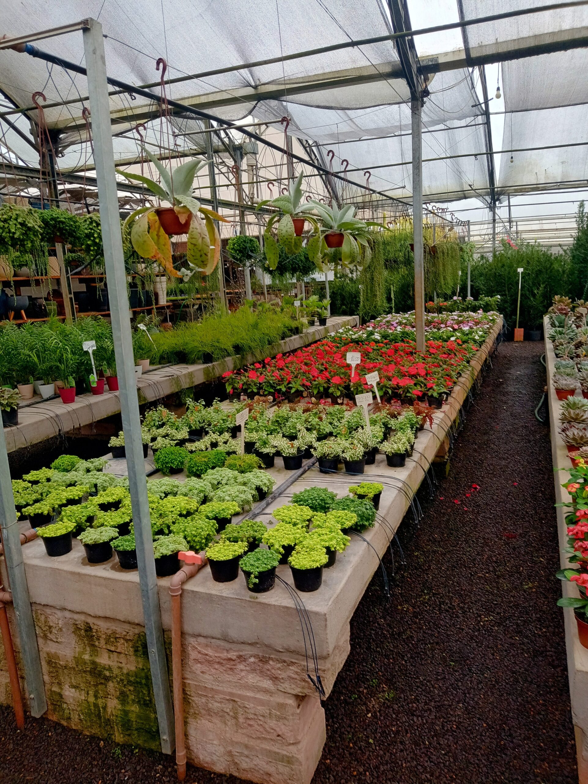 IMG_20240819_073211002_HDR~2