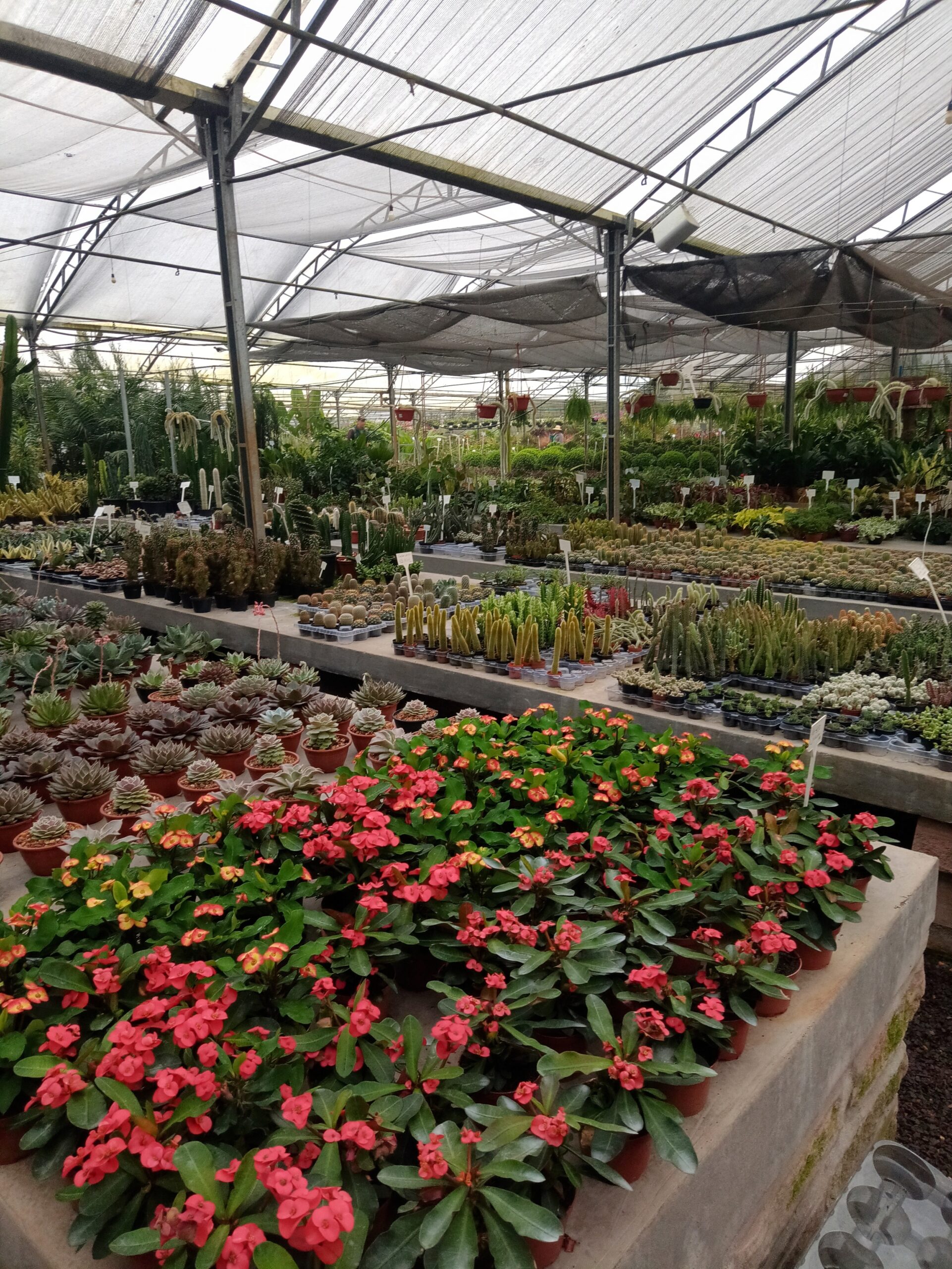 IMG_20240819_073230315_HDR~2