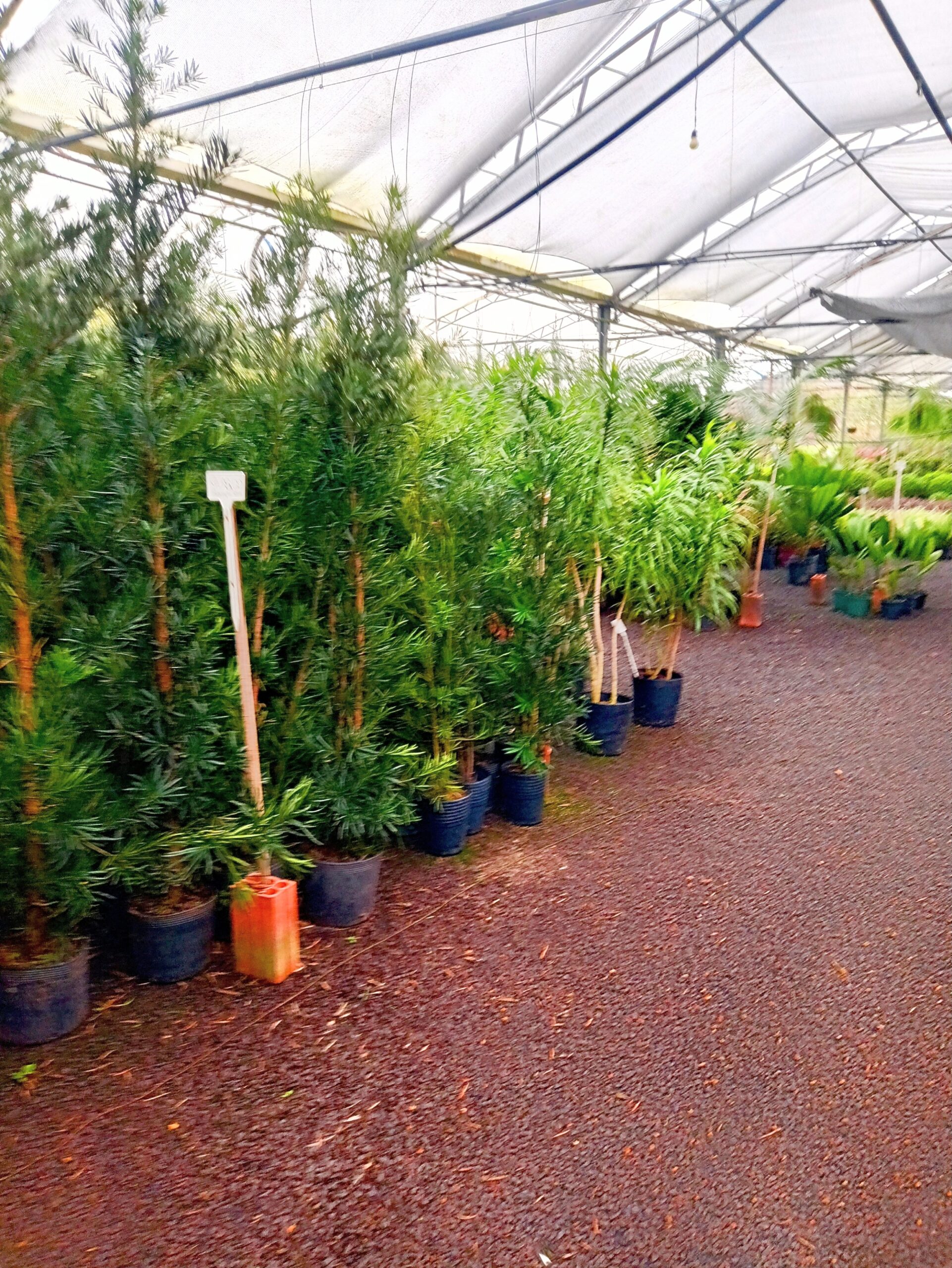 IMG_20240819_073248007_HDR~3