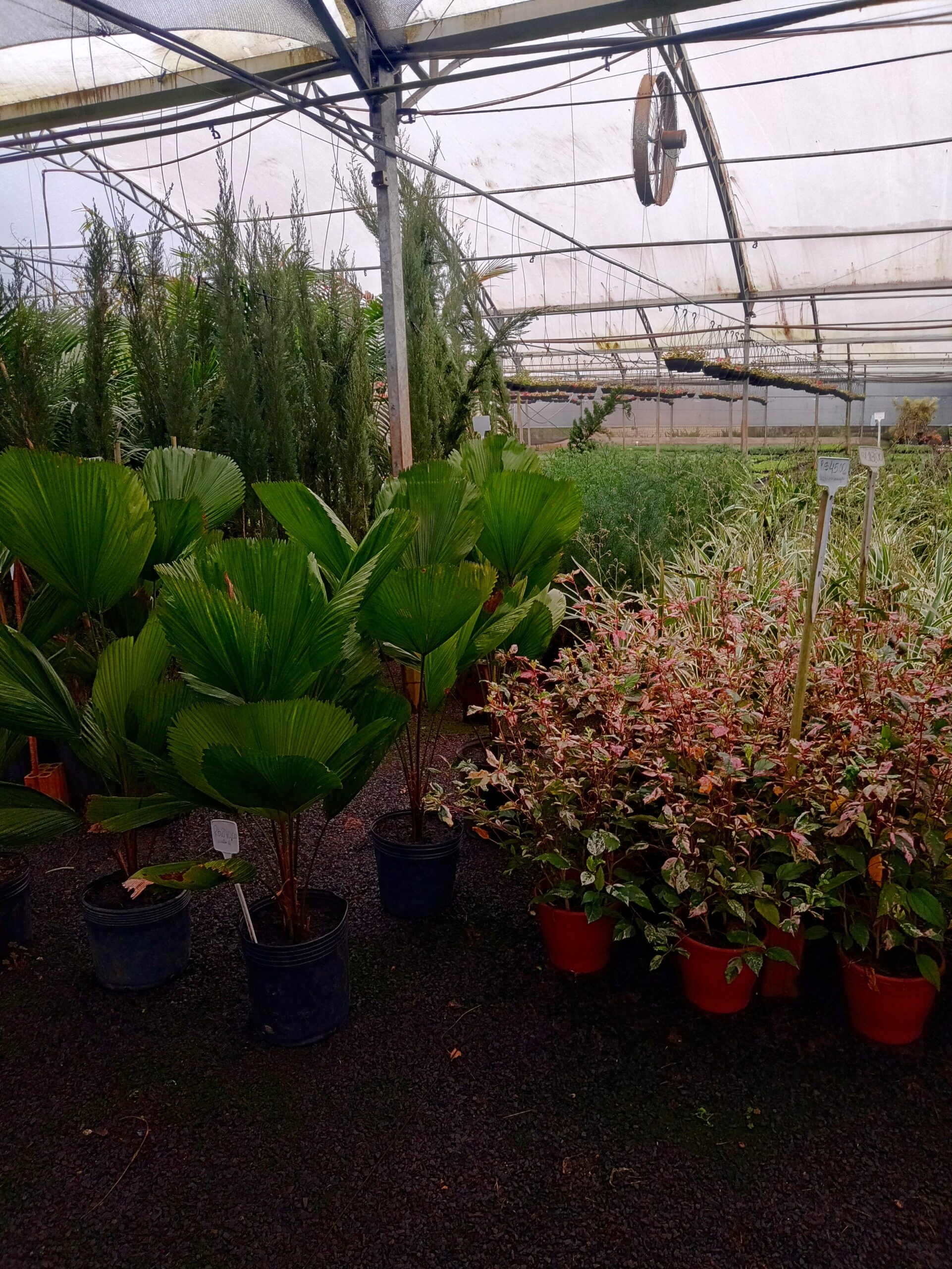 IMG_20240819_073315110_HDR~2