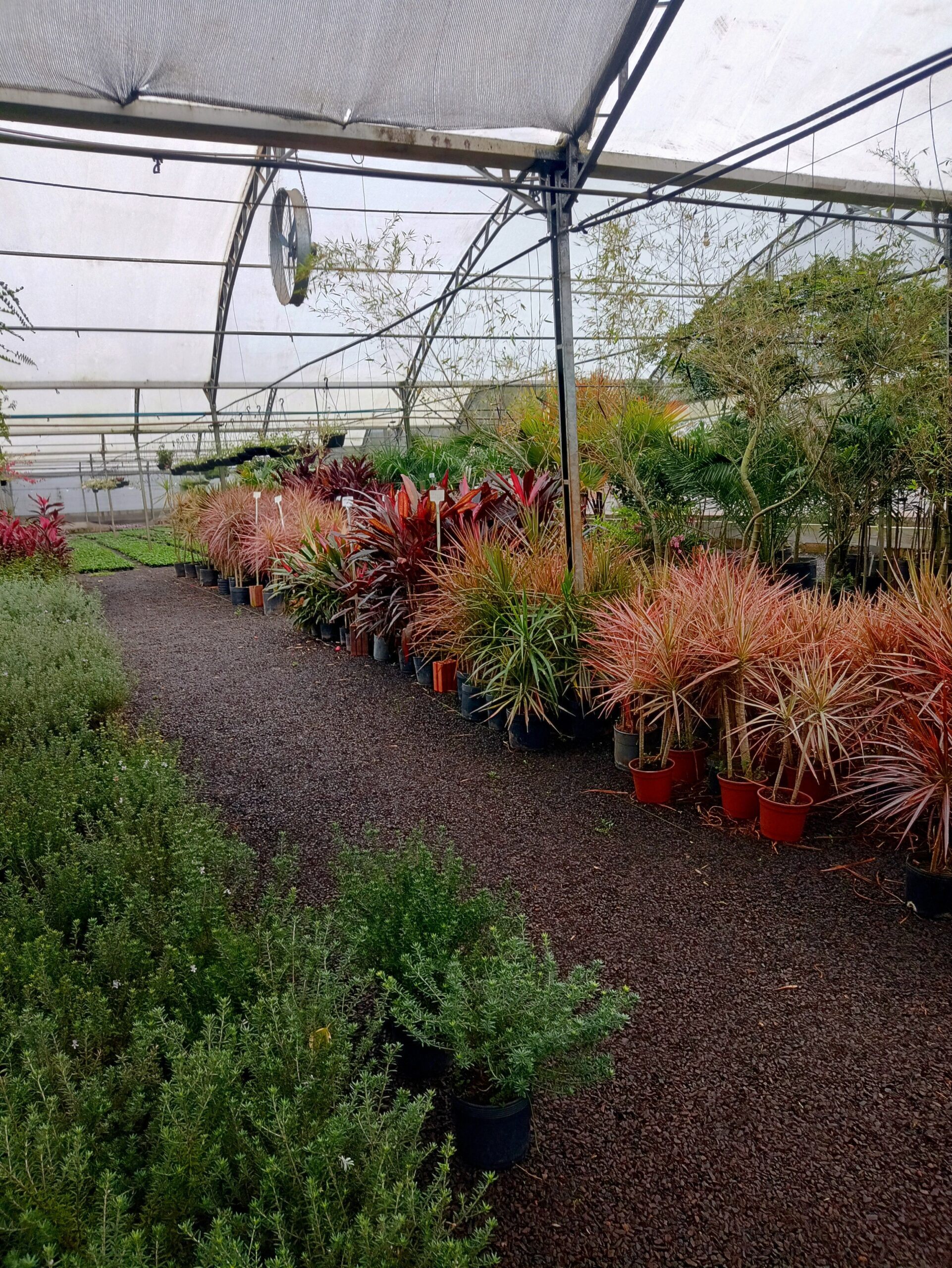 IMG_20240819_073351842_HDR~2