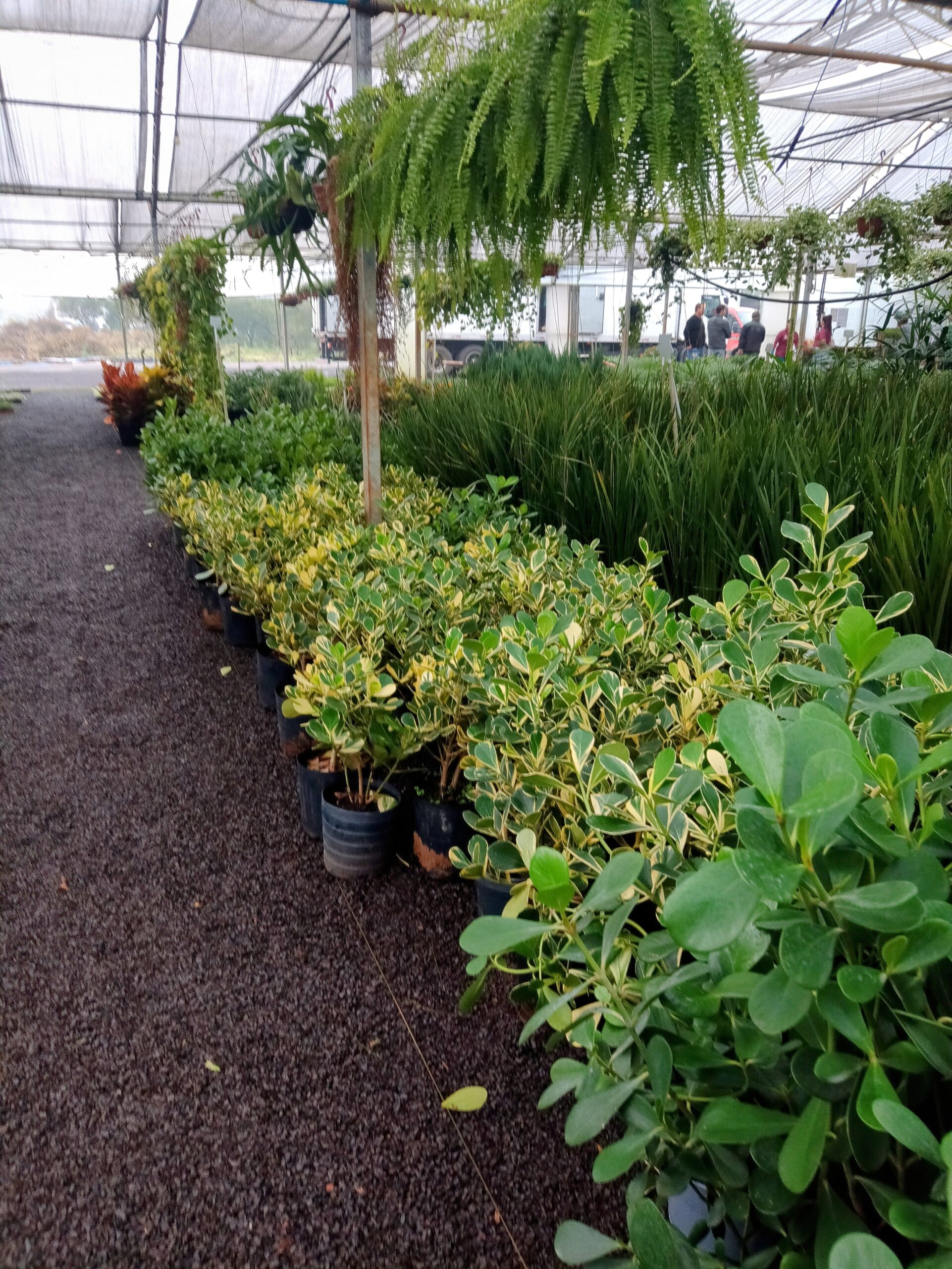 IMG_20240819_073357688_HDR~2