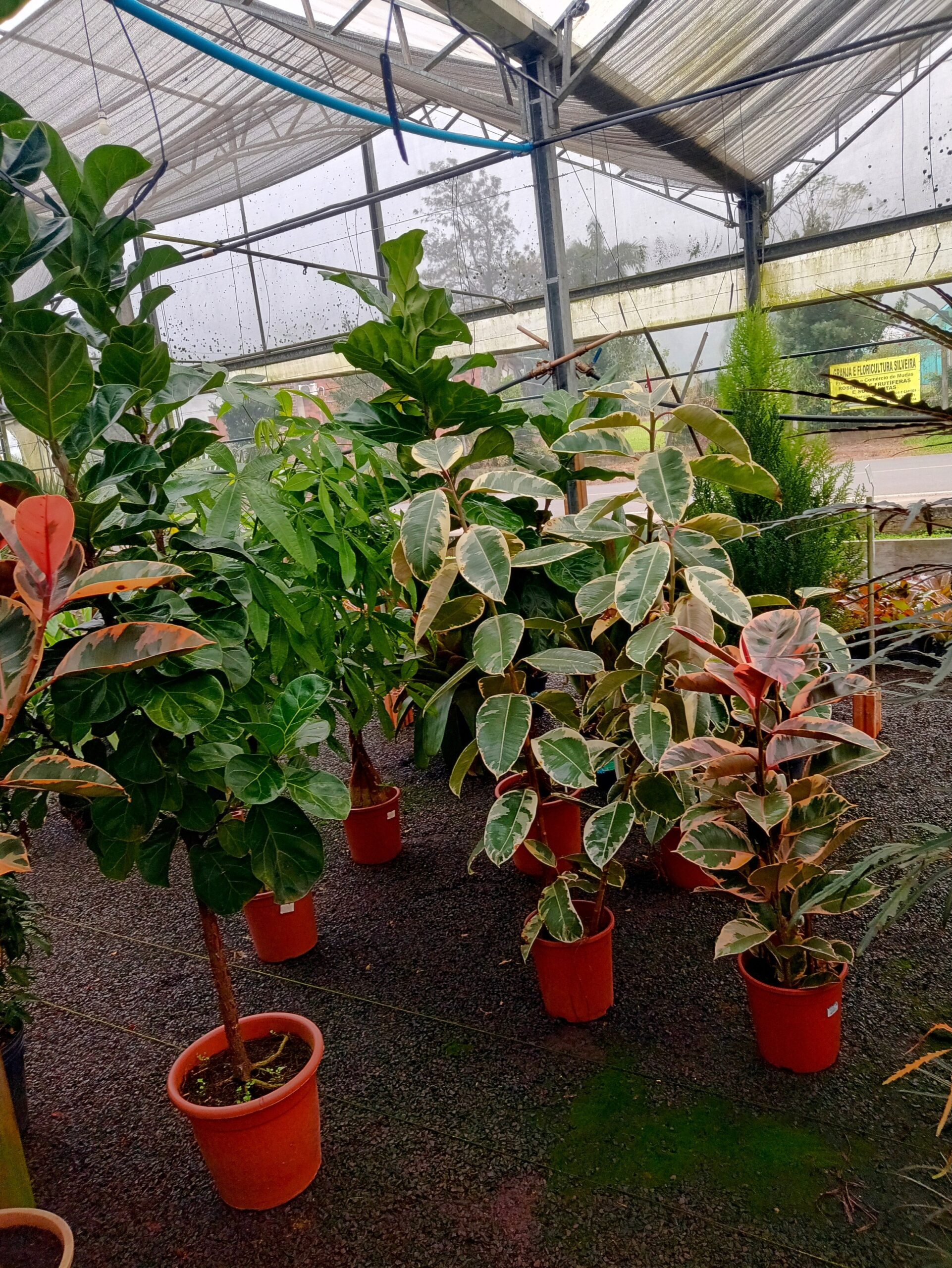 IMG_20240819_073433041_HDR~2