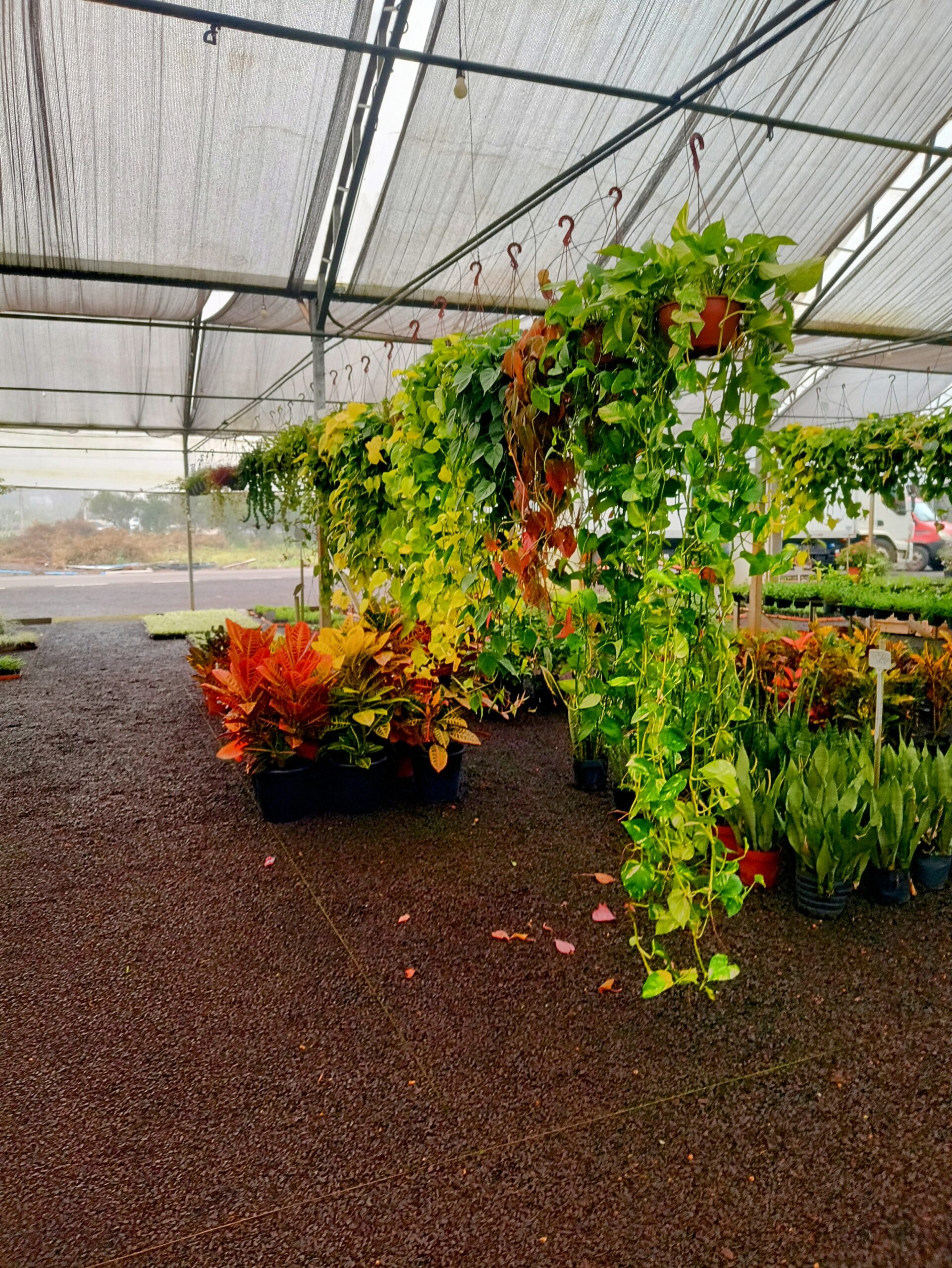 IMG_20240819_073503693_HDR~2